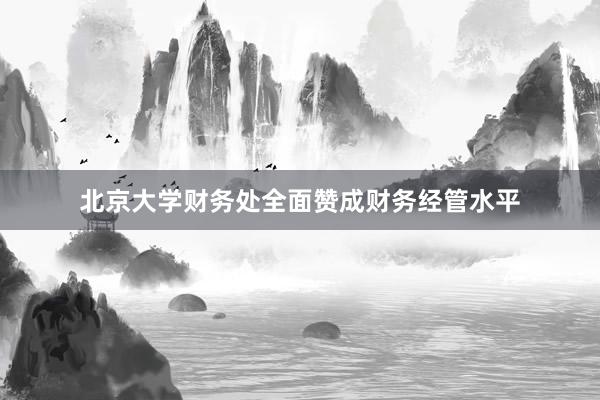 北京大学财务处全面赞成财务经管水平