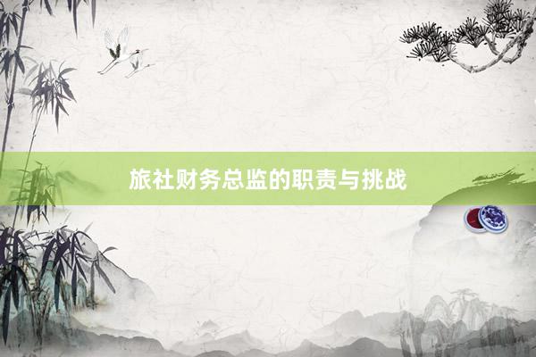 旅社财务总监的职责与挑战