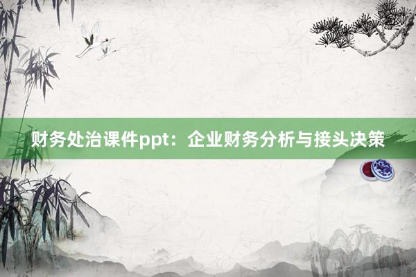 财务处治课件ppt：企业财务分析与接头决策
