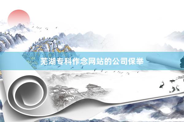 芜湖专科作念网站的公司保举