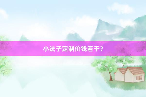 小法子定制价钱若干？